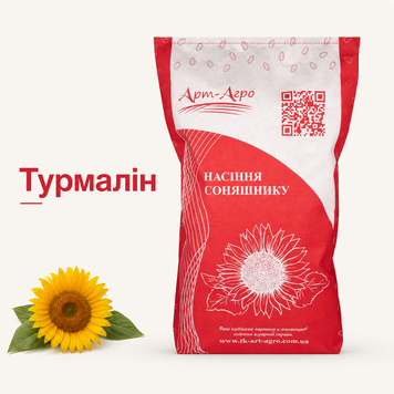 Семена кондитерского подсолнечника Турмалин под Евро-Лайтнинг 219651 фото