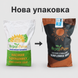 Семена подсолнечника Альдазор  под Гранстар 1942520967 фото 2
