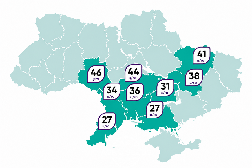 Насіння соняшнику НС Х 8005 під Гранстар 2290532517 фото