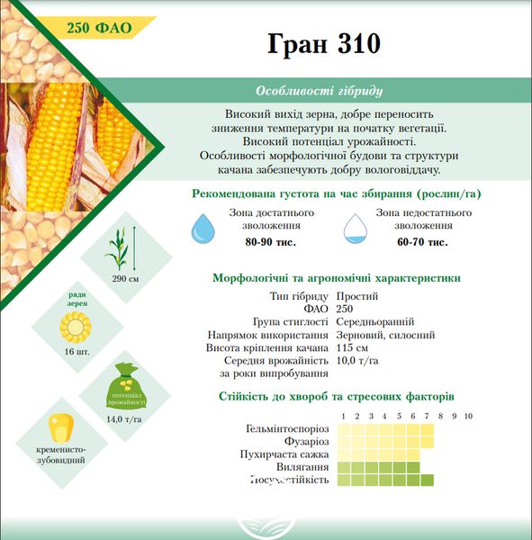 Семена гибрида кукурузы ГРАН 310 (ФАО 250), ТМ "ВНИС", Украина 1679777348 фото
