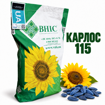 Насіння соняшнику Карлос 115 під Євро Лайтнінг 888826192308 фото