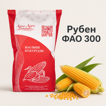 Семена кукурузы Рубен ФАО 300 19692854581 фото