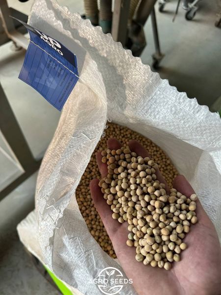 Купити насіння озимого гороху Болтрап, 1 репродукція 897202219 фото