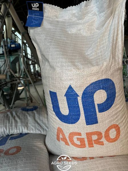 Купити насіння озимого гороху Болтрап, 1 репродукція 897202219 фото