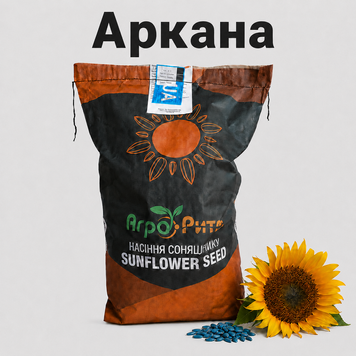 Семена подсолнечника Аркана под Гранстар 252708 фото