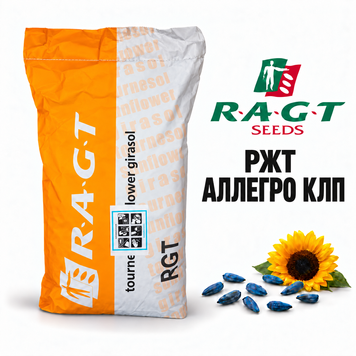 Семена подсолнечника РЖТ Аллегро КЛП Clearfield Plus 2823636488 фото