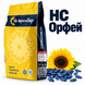 Насіння соняшнику НС Орфей (класичний високоолеїновий ) 3121764 фото 1