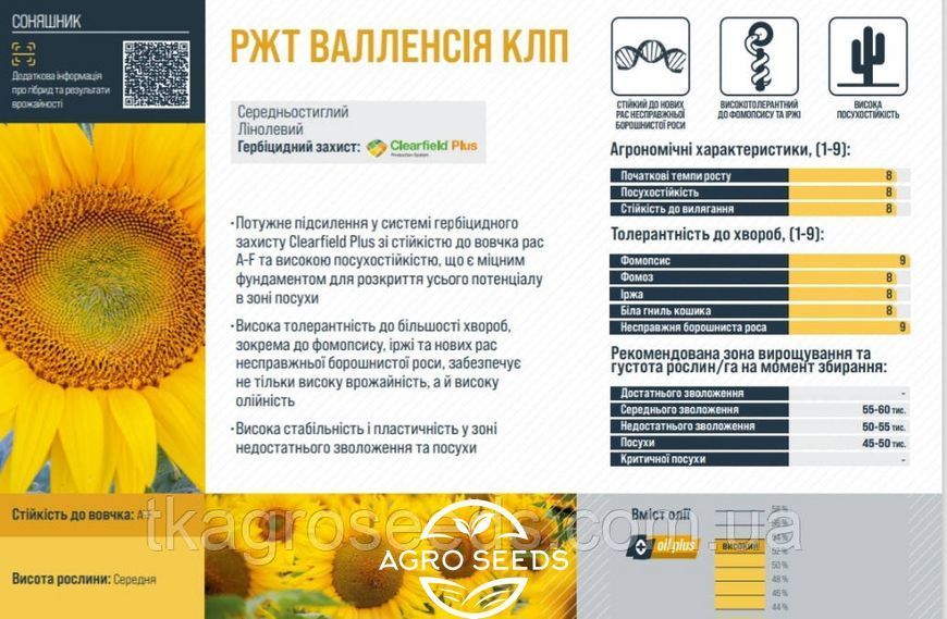 Насіння соняшника РЖТ ВАЛЛЕНСІЯ КЛП 2823647825 фото