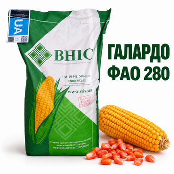 Насіння кукурудзи Галардо ФАО 280 75 фото