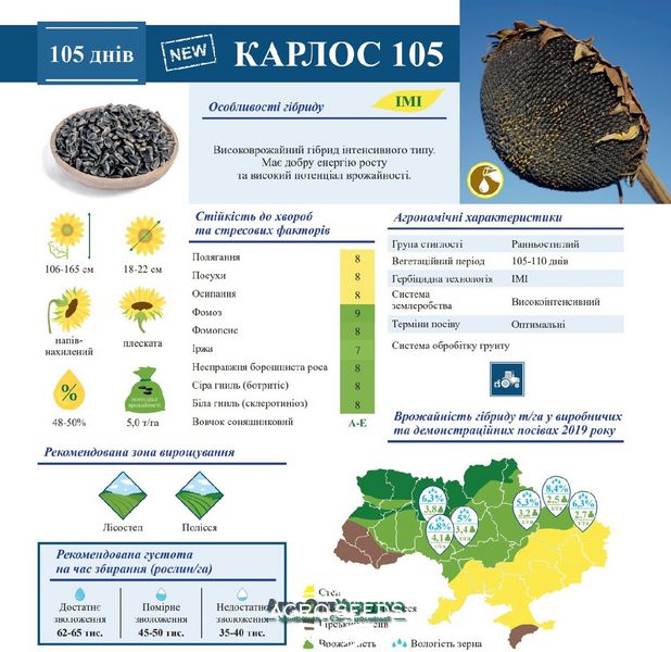 Семена подсолнечника гибрид Карлос 105 под евро-лайтнинг, Украина 1326192308 фото