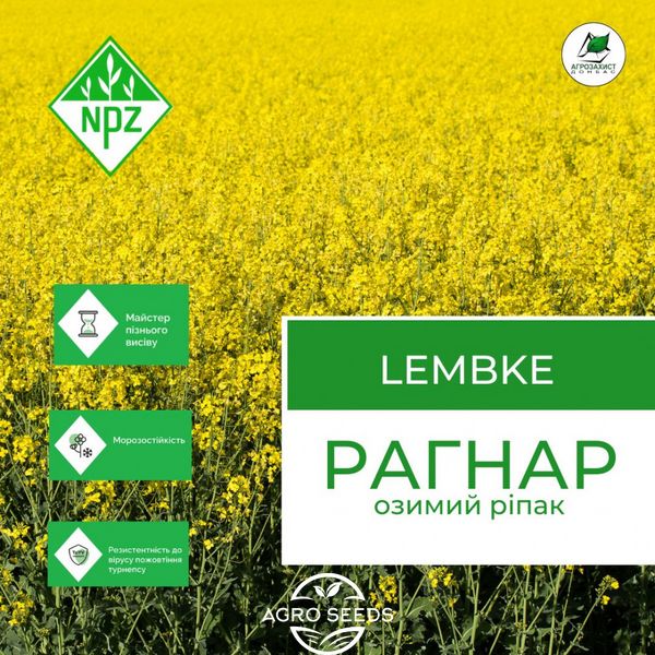 Семена озимый рапс Рагнар NPZ-Lembke Lembke 1638940293 фото