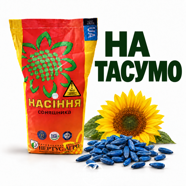 Насіння соняшнику НА Тасумо під Гранстар 1963227786 фото