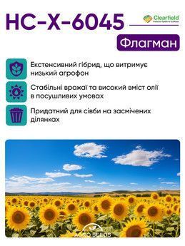 Насіння соняшнику гібрид НС Х 6045 302956993 фото