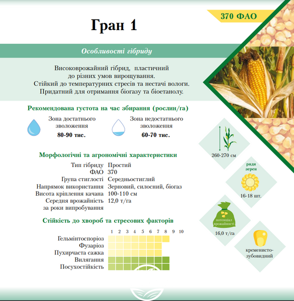 Гибрид кукурузы Гран 1 (ФАО 370) (2020 год), ТМ "ВНИС", Украина 1679993843 фото