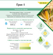 Гибрид кукурузы Гран 1 (ФАО 370) (2020 год), ТМ "ВНИС", Украина 1679993843 фото 3