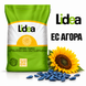 Насіння соняшника ЕС АГОРА від Lidea 132559542712 фото 1