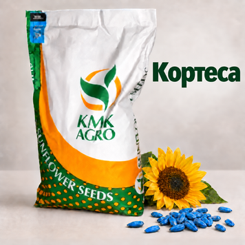 Семена подсолнечника Кортеса  (классическая технология) 2353647361 фото