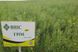 Семена рапса озимого гибрид Гром (PC+Clearfield) (2022 Год), ТМ "ВНИС", Украина 1426927512 фото 2