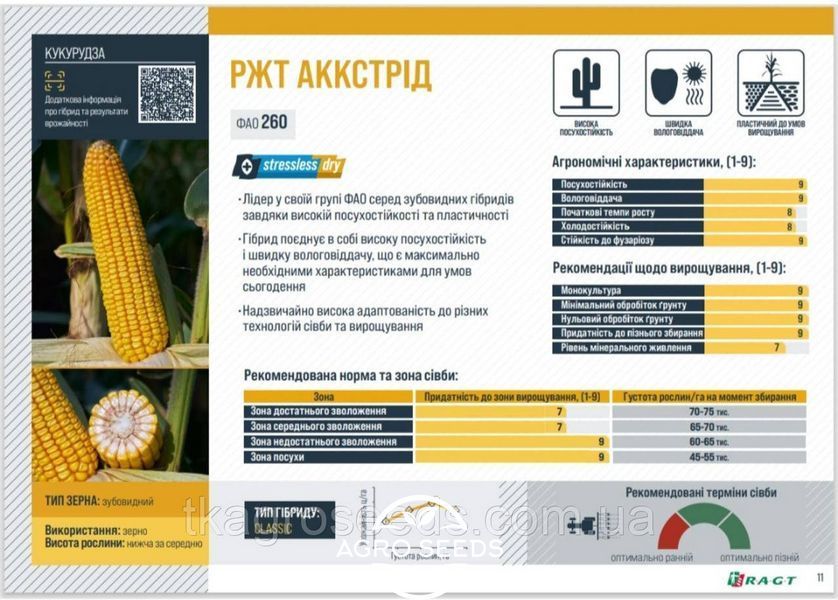 Семена кукурузы гибрид РЖТ АККСТРІД 2826826071 фото