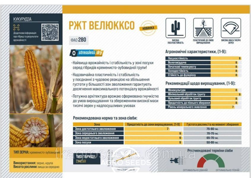 Семена кукурузы гибрид РЖТ ВЕЛЮККСО 2826833280 фото