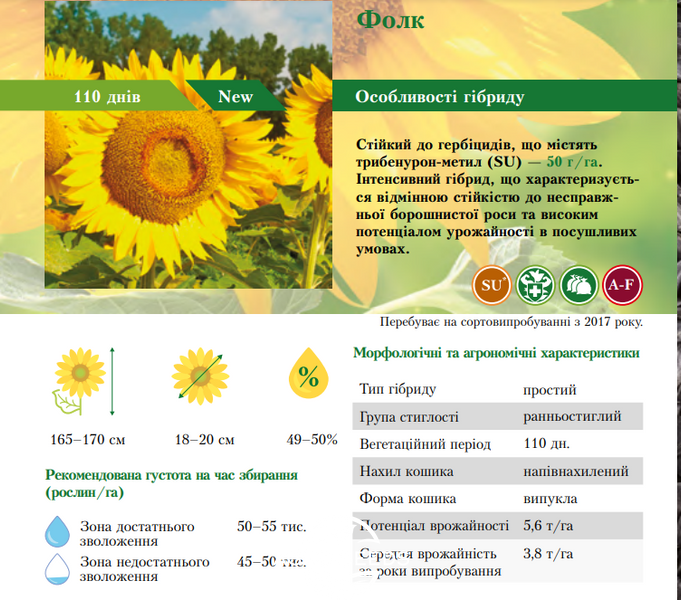Семена подсолнечника гибрид Фолк под гранстар, ТМ "ВНИС", Украина 1326213452 фото