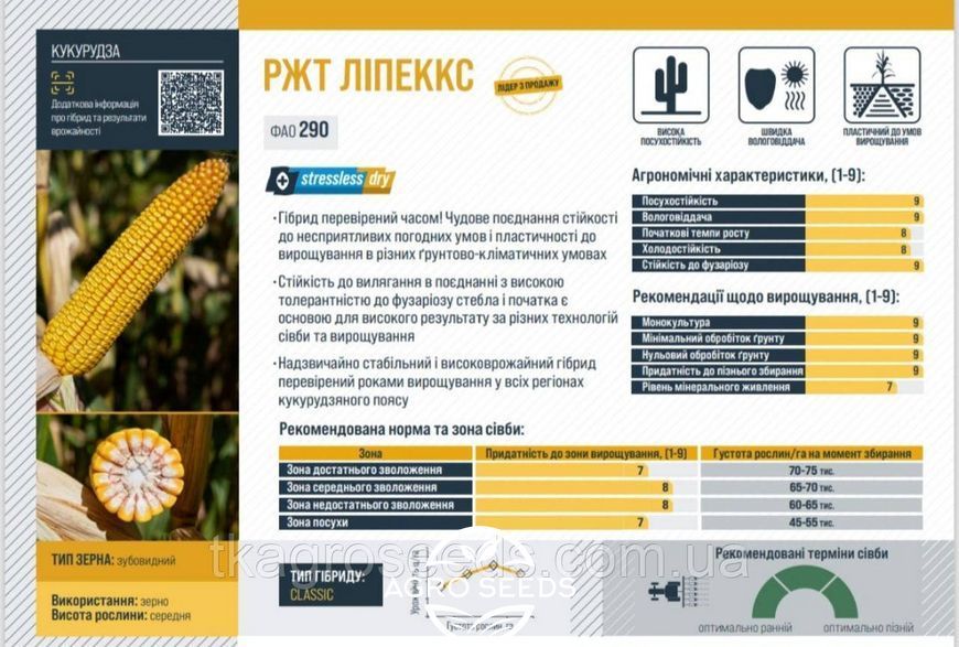Семена кукурузы гибрид РЖТ ЛИПЕККС 2826839569 фото
