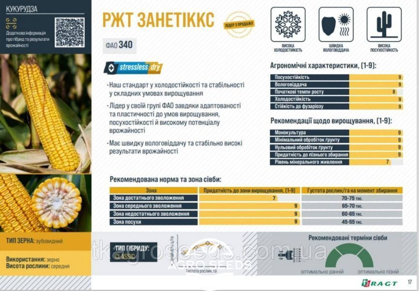 Семена кукурузы гибрид РЖТ ЗАНЕТИККС 2828047790 фото