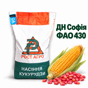 Семена кукурузы ДН София ФАО 430 2038449286 фото