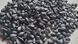 Семена подсолнечника гибрид Бастен под гранстар, Украина 1541697204 фото 4
