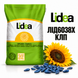 Семена Подсолнечника ЛІД6038Х КЛП от Lidea 132559542712 фото 1
