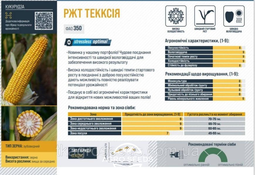 Семена кукурузы гибрид РЖТ ТЕККСИЯ 2828067838 фото