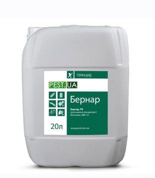 Гербіцид Бернар  (Бентазон, 480 г/л) 7152 фото