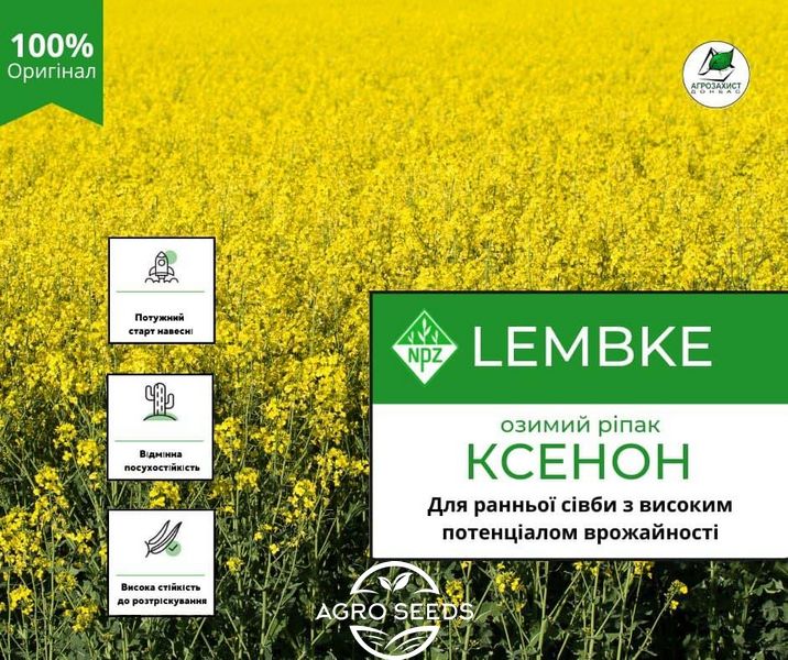Семена озимого рапса КСЕНОН NPZ-Lembke Lembke 1639668902 фото