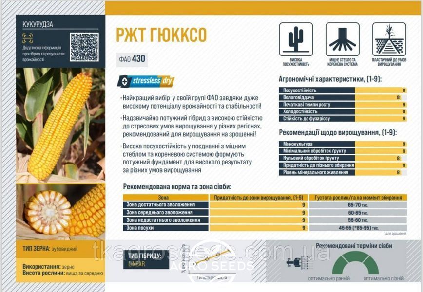 Семена кукурузы гибрид РЖТ ГЮККСО 2828259842 фото