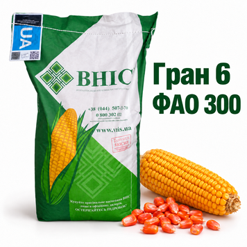 Насіння кукурудзи Гран 6 ФАО 300 16798627601 фото