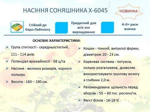 Насіння соняшника гібрид НС Х 6045, Сербія 11327161579 фото