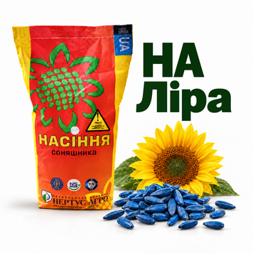 Насіння соняшнику НА Ліра під Євро-Лайтнінг 1964384383 фото