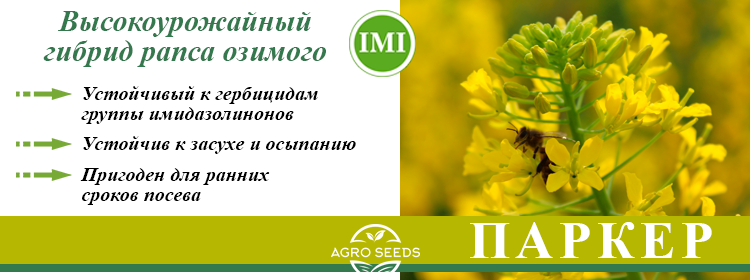 Семена рапса озимого Паркер (Clearfield) (2023 Год), ТМ "ВНИС", Украина. 1417657951 фото