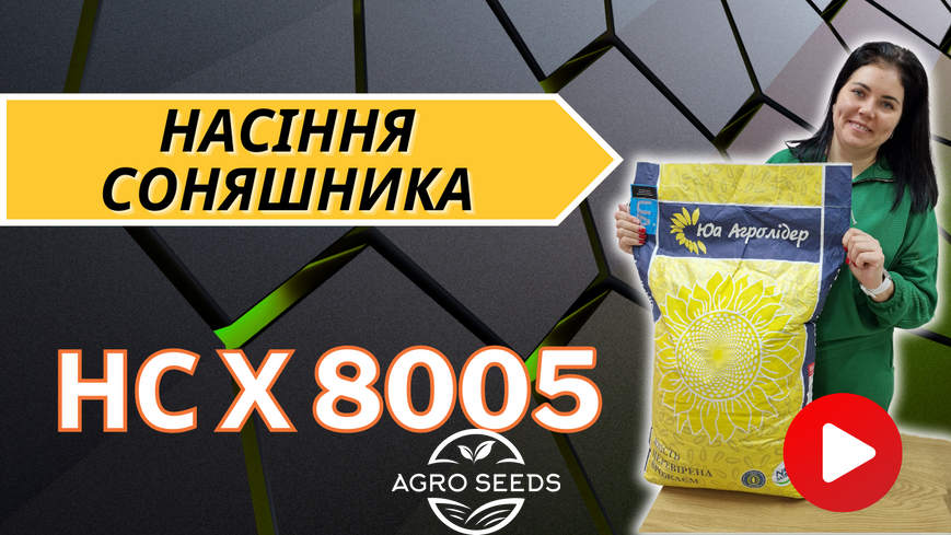 Семена подсолнечника НС Х 8005 под Гранстар 11486294998 фото