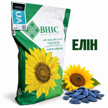 Насіння соняшнику Елін під Євро Лайтнінг 8045956 фото