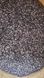 Семена Подсолнечника ЕС Андромеда от Lidea (Euralis) 132559542712 фото 3