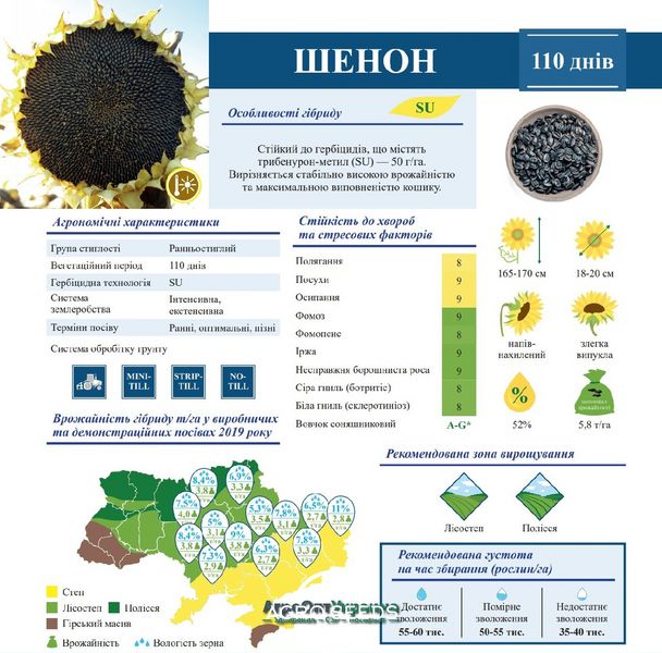 Семена подсолнечника гибрид Шенон под гранстар, ТМ "ВНИС", Украина 1692238403 фото