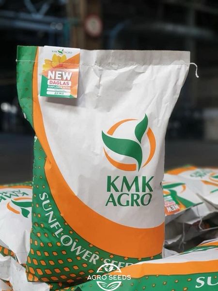 Семена подсолнечника гибрид ДАГЛАС под гранстар, "KMK Agro", Украина 2353479788 фото