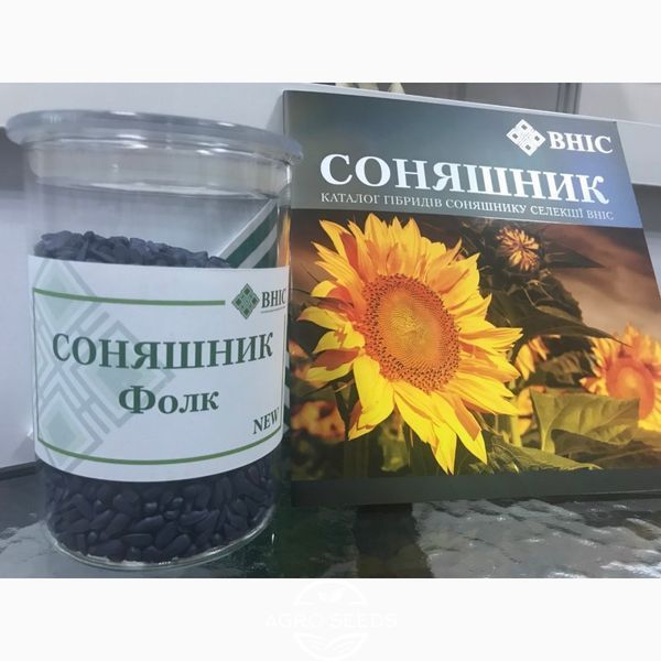 Насіння соняшника гібрид Фолк  1731177564 фото