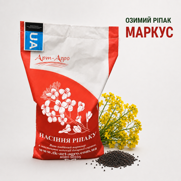 Насіння озимого ріпаку Маркус Classic, класична технологія 11636395546 фото