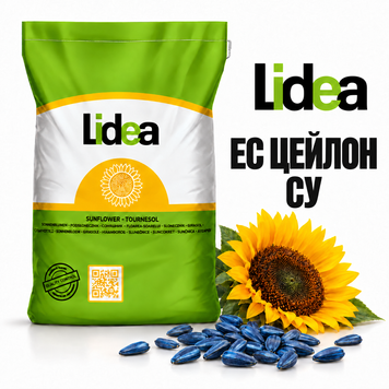 Семена Подсолнечника ЕС Цейлон СУ  132559542712 фото