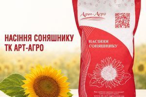 Насіння соняшнику ТК Арт-Агро: огляд гібридів і технологій вирощування фото