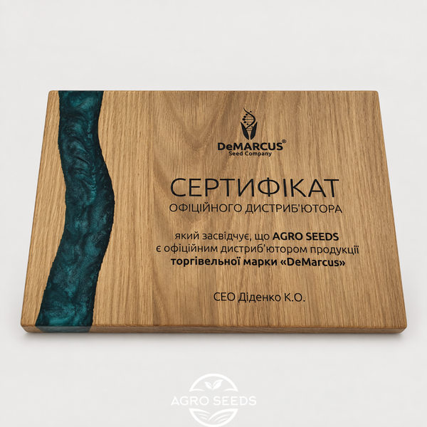 Насіння соняшнику Флокі під Гранстар 2098565331 фото