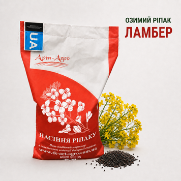 Насіння озимого ріпаку Ламбер Classic, класична технологія 22636395546-11 фото