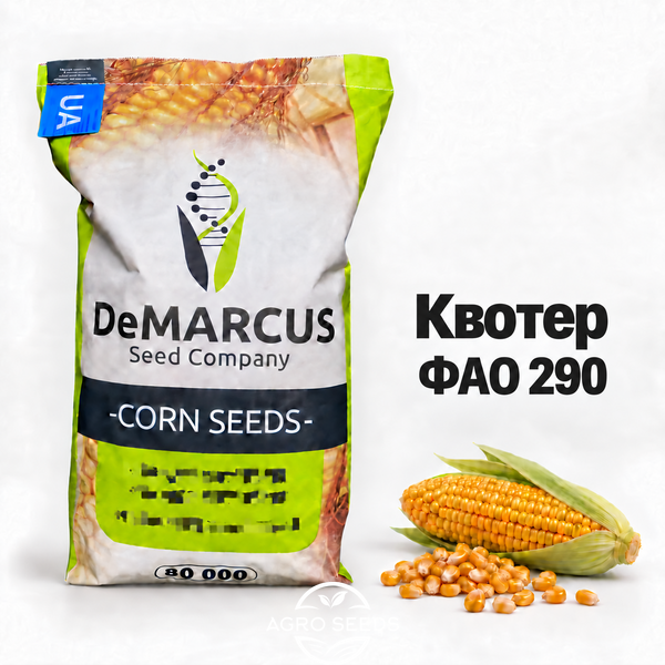 Насіння кукурудзи Квотер ФАО 290 2304508800 фото